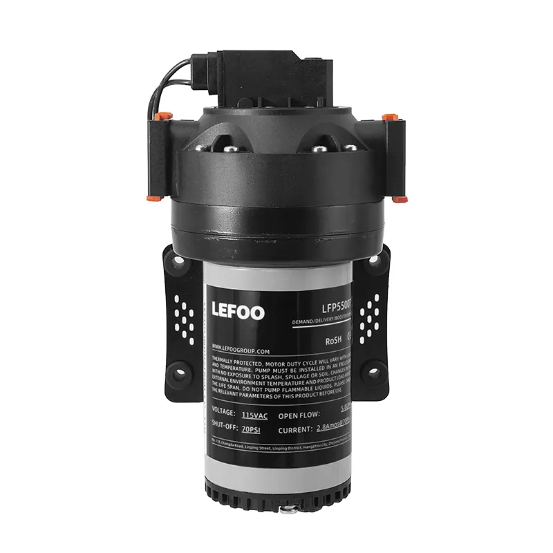 High Flow Demand Delivery Pump